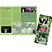 Retreat Brochure sample